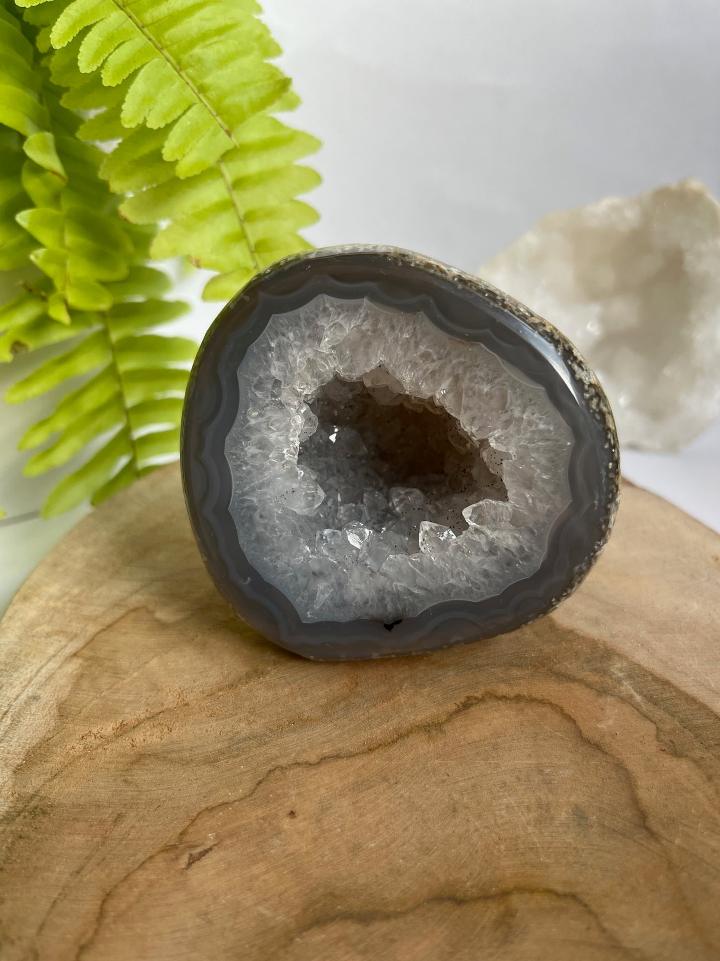 Geode Druzy #02