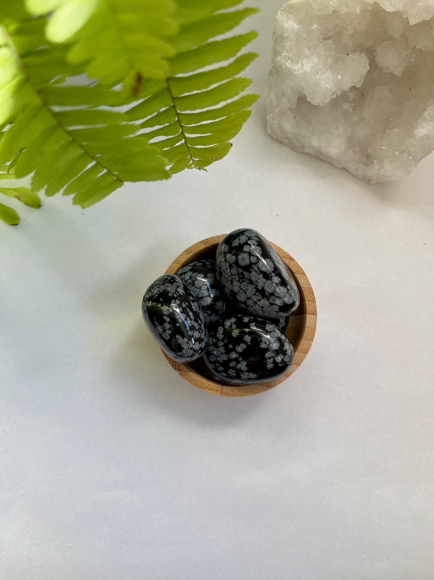 Sneeuwvlok obsidiaan Trommelsteen