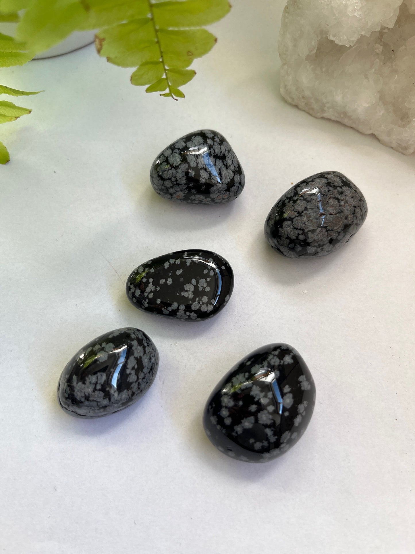 Sneeuwvlok obsidiaan Trommelsteen