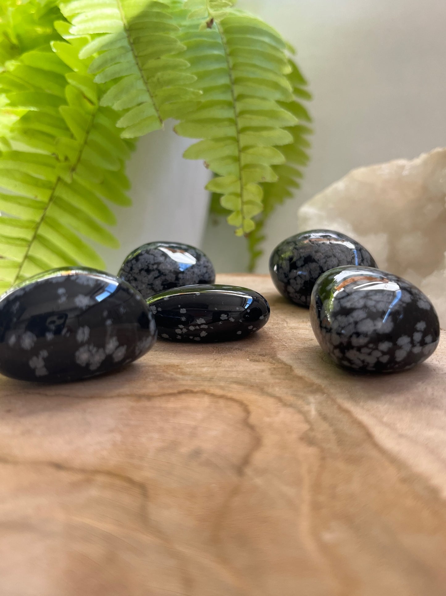 Sneeuwvlok obsidiaan Trommelsteen
