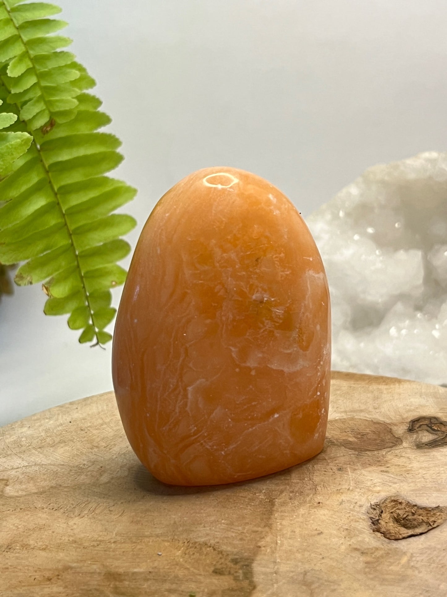 Calciet free form