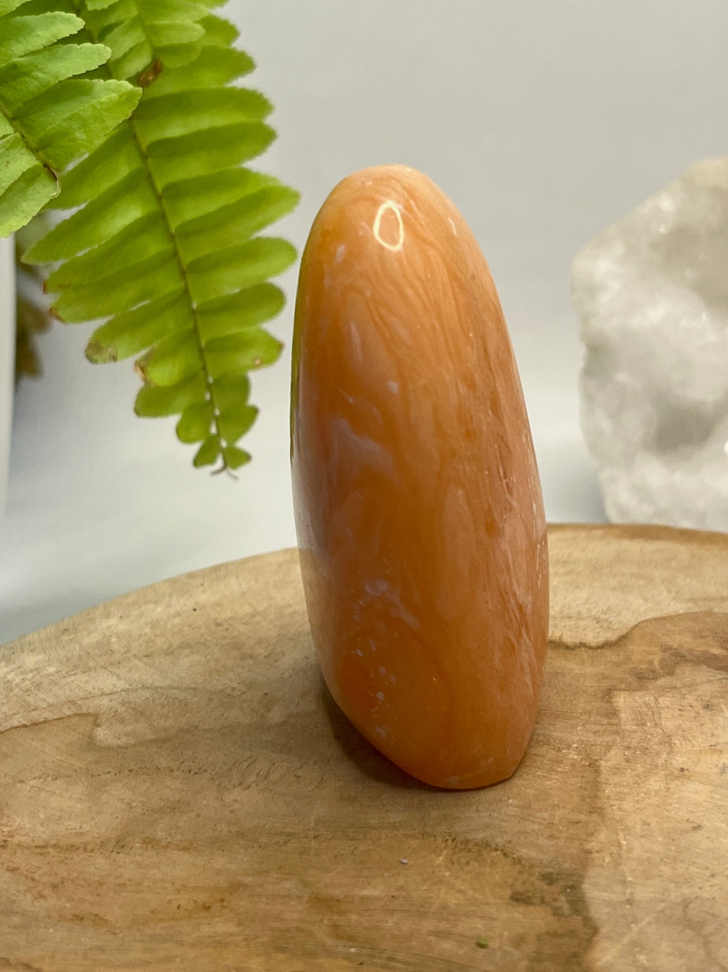 Calciet free form