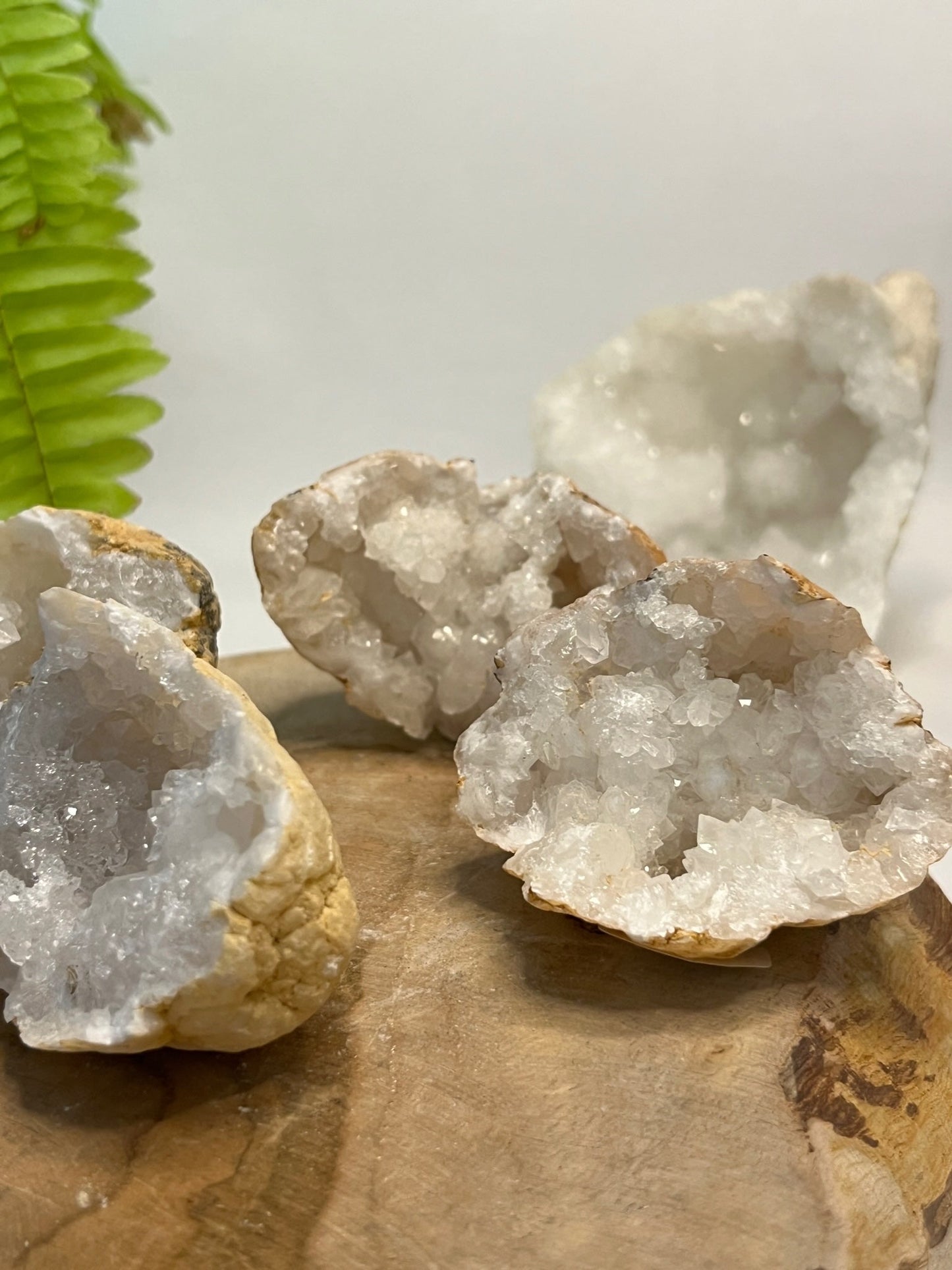 Bergkristal Geode Mystery XS