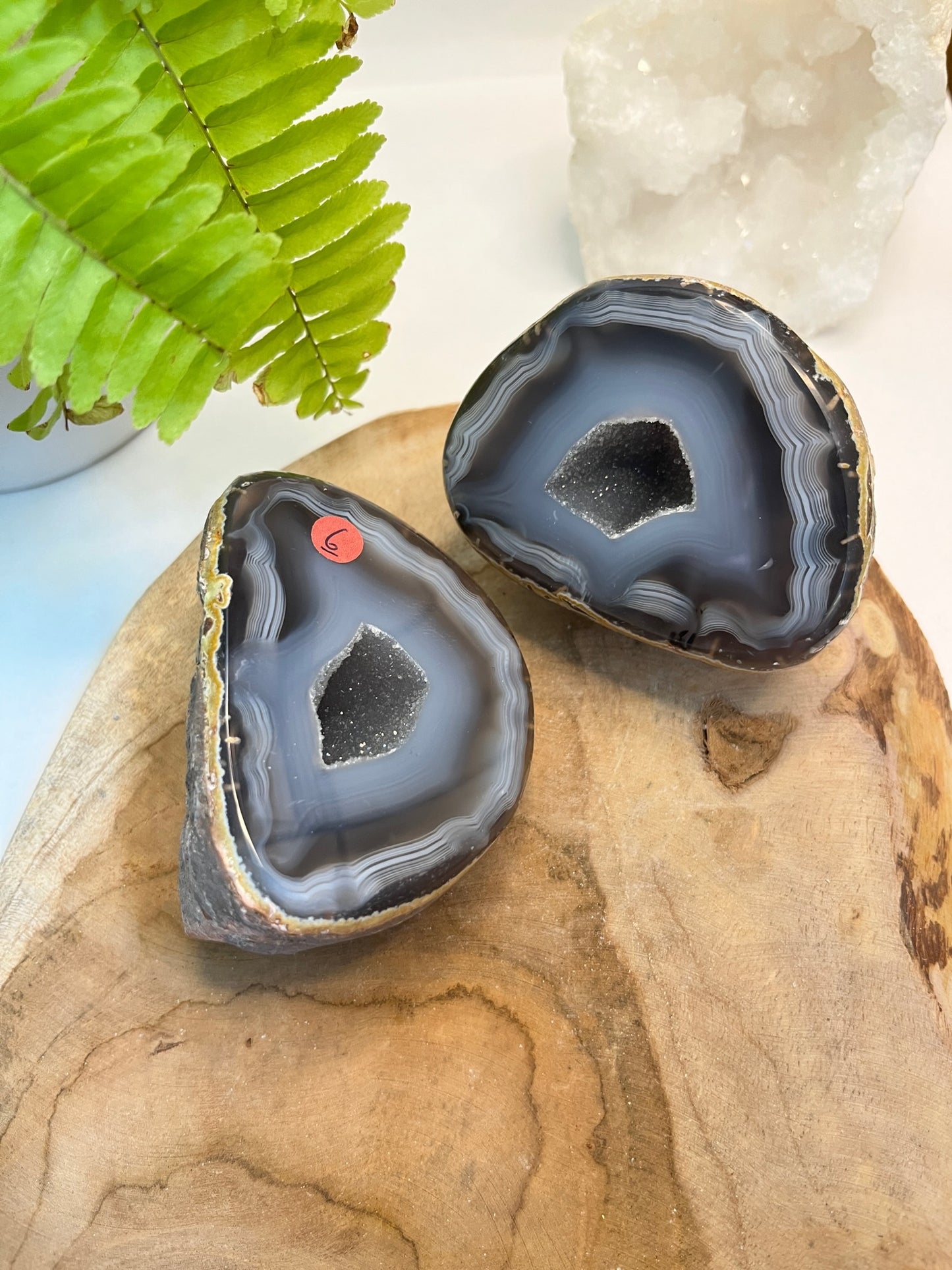 Set agaat Geode #06