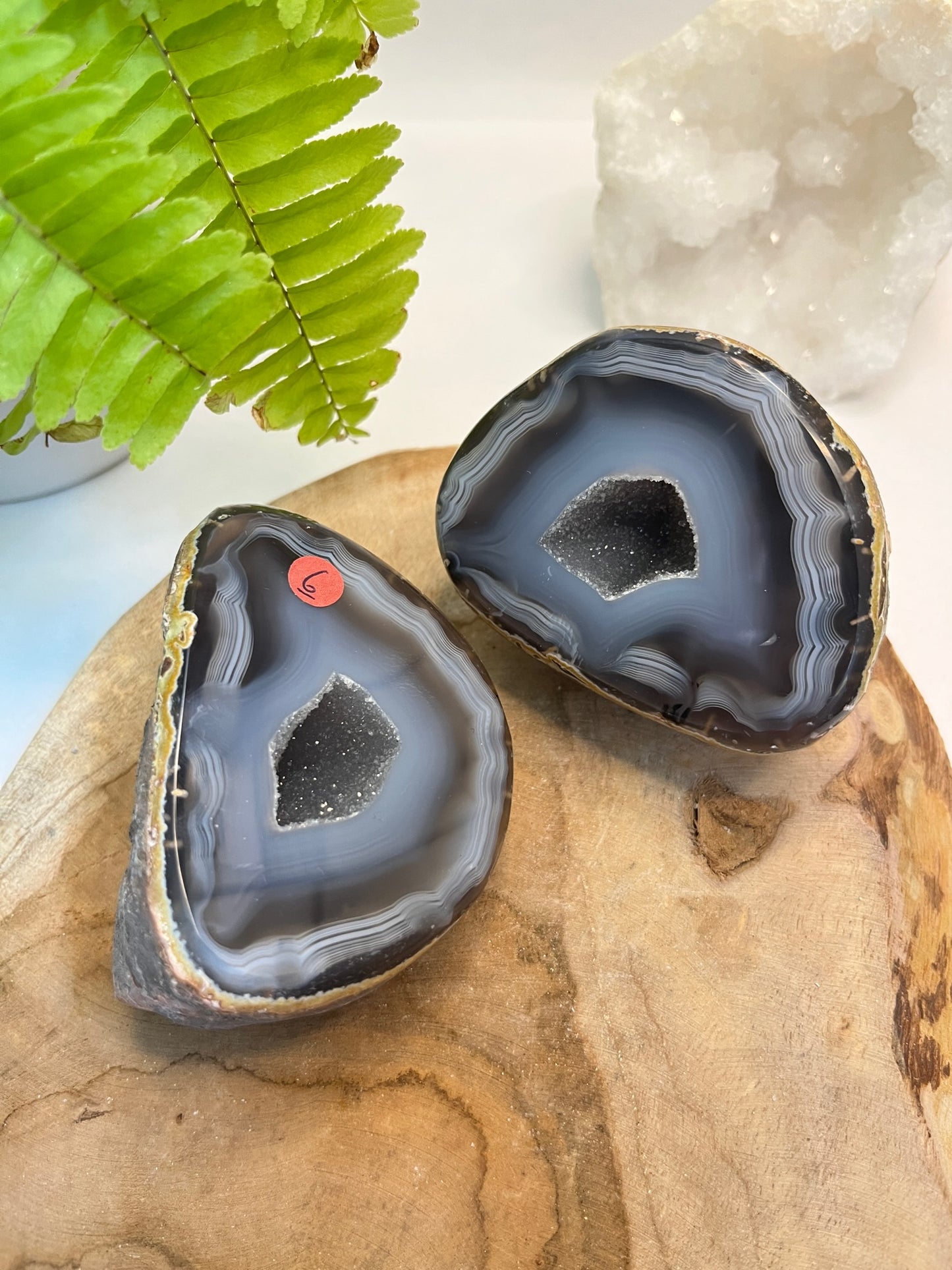 Set agaat Geode #06