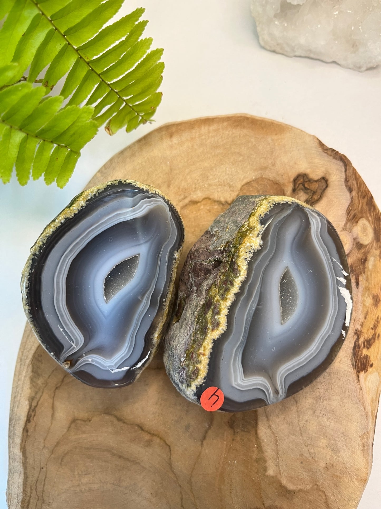 Set agaat Geode #04