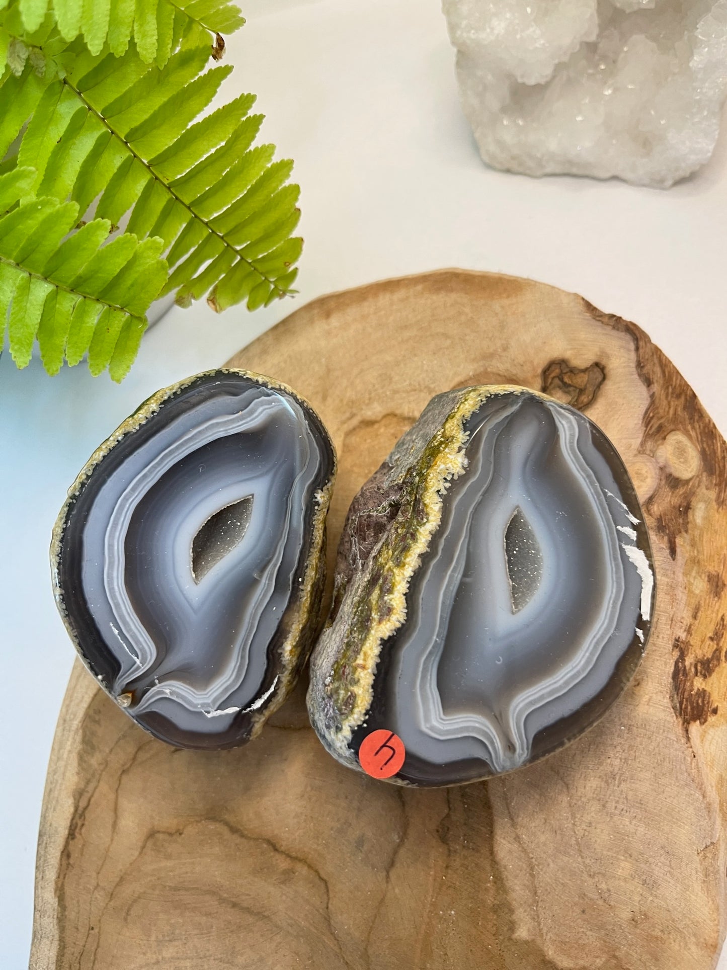 Set agaat Geode #04
