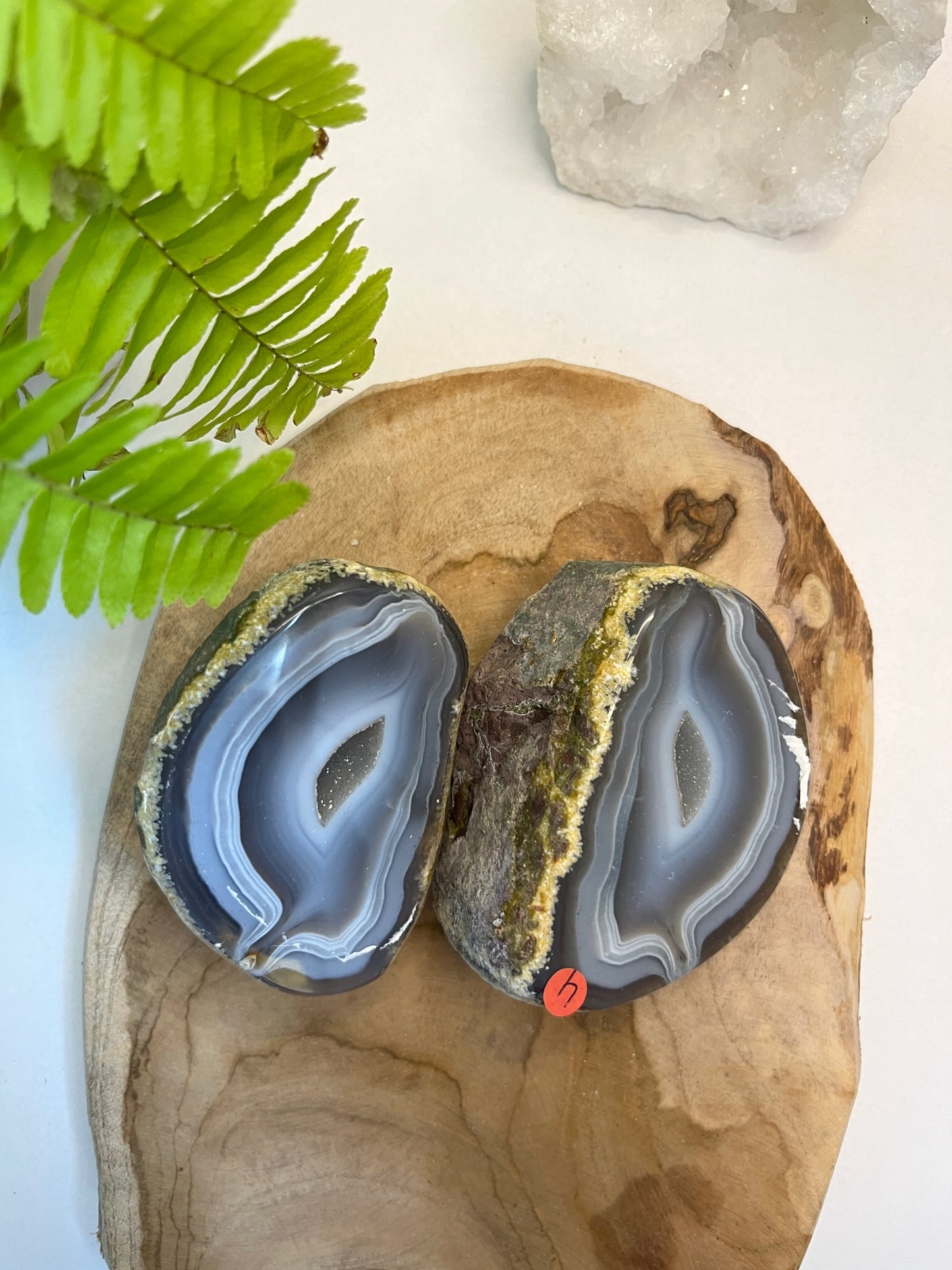 Set agaat Geode #04