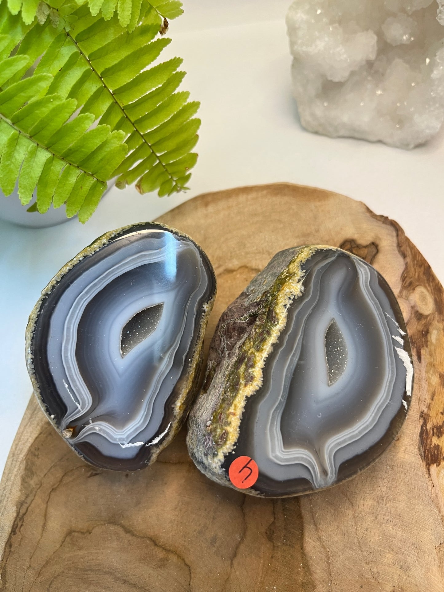 Set agaat Geode #04