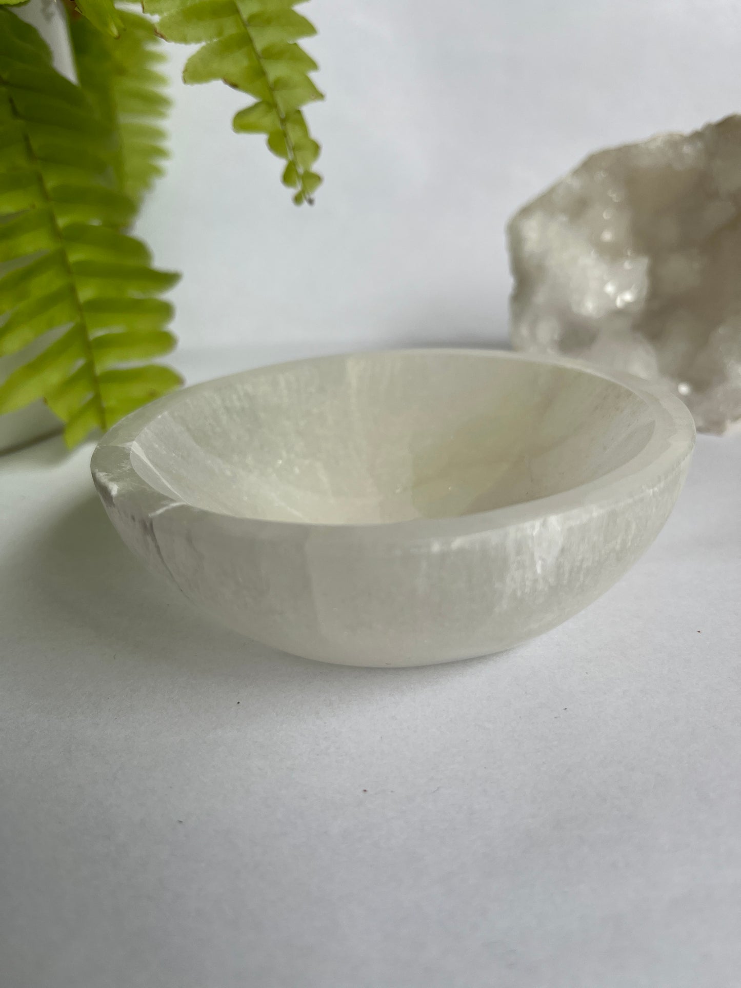 Seleniet bakje 10 cm