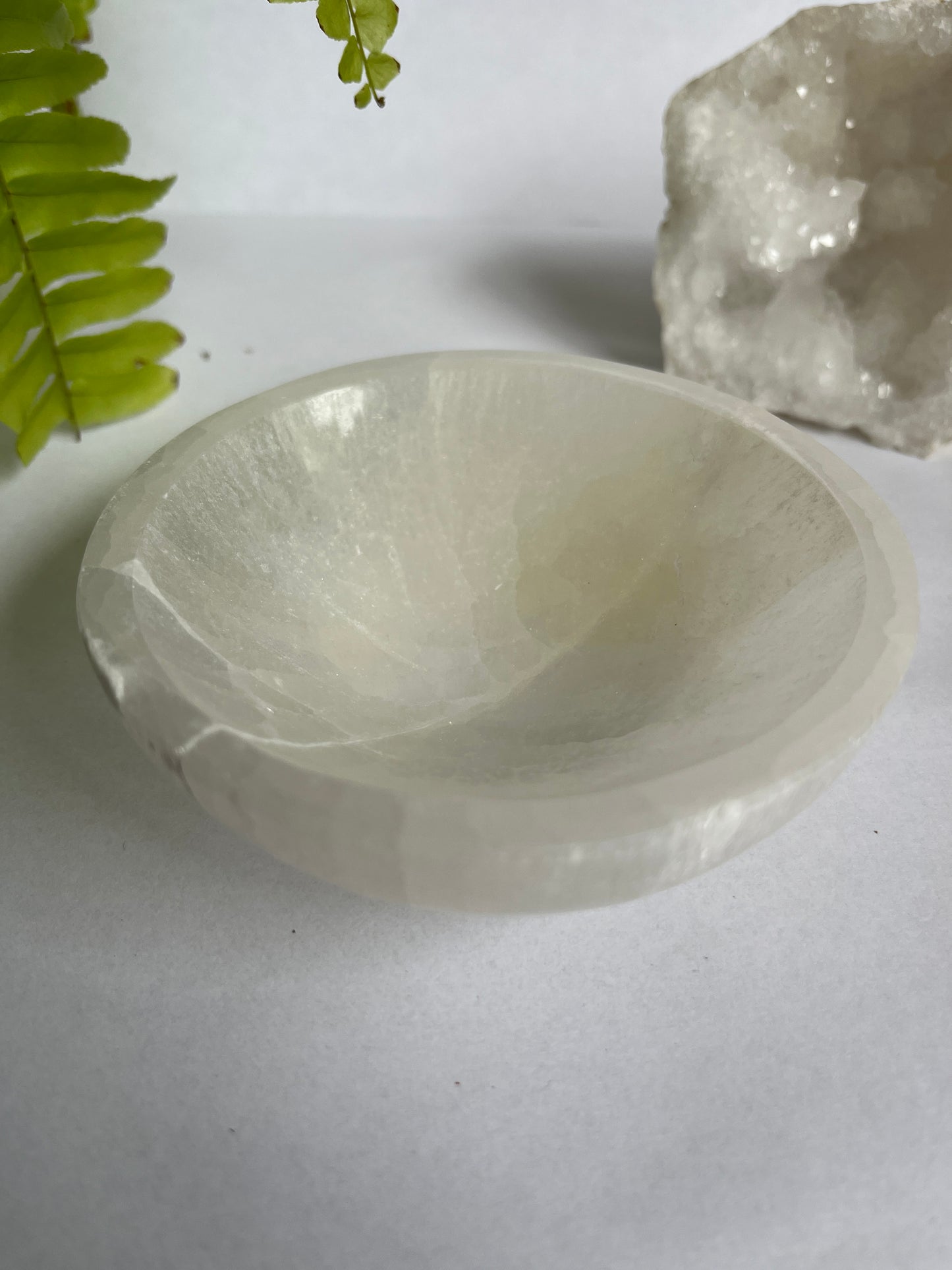 Seleniet bakje 10 cm