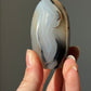 Dendriet free form