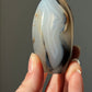 Dendriet free form