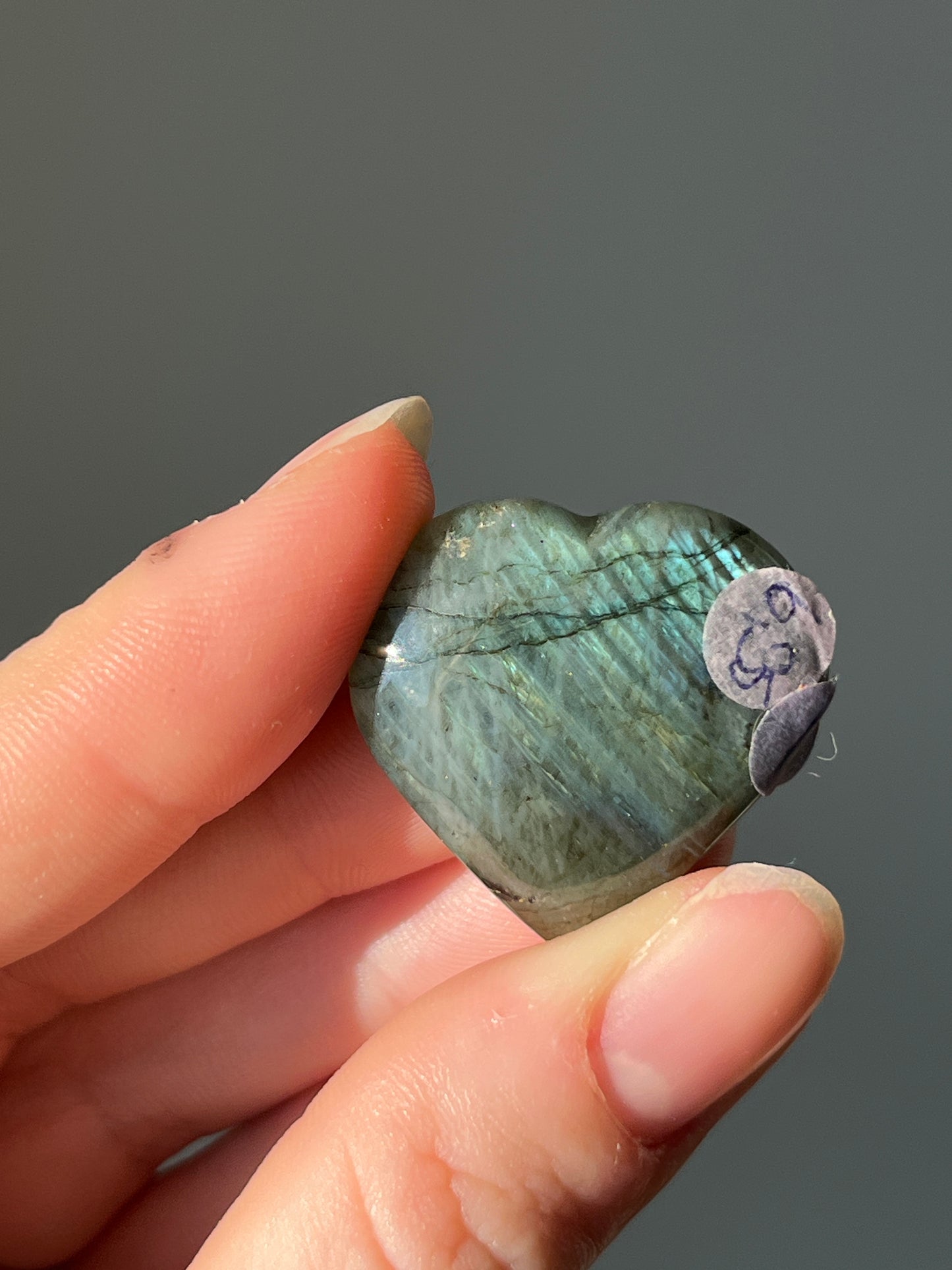 Labradoriet Hart blauw #01