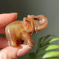 Bruine olifant #01 links