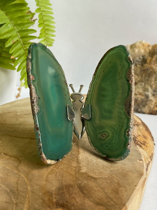 Vlinder agaat groen