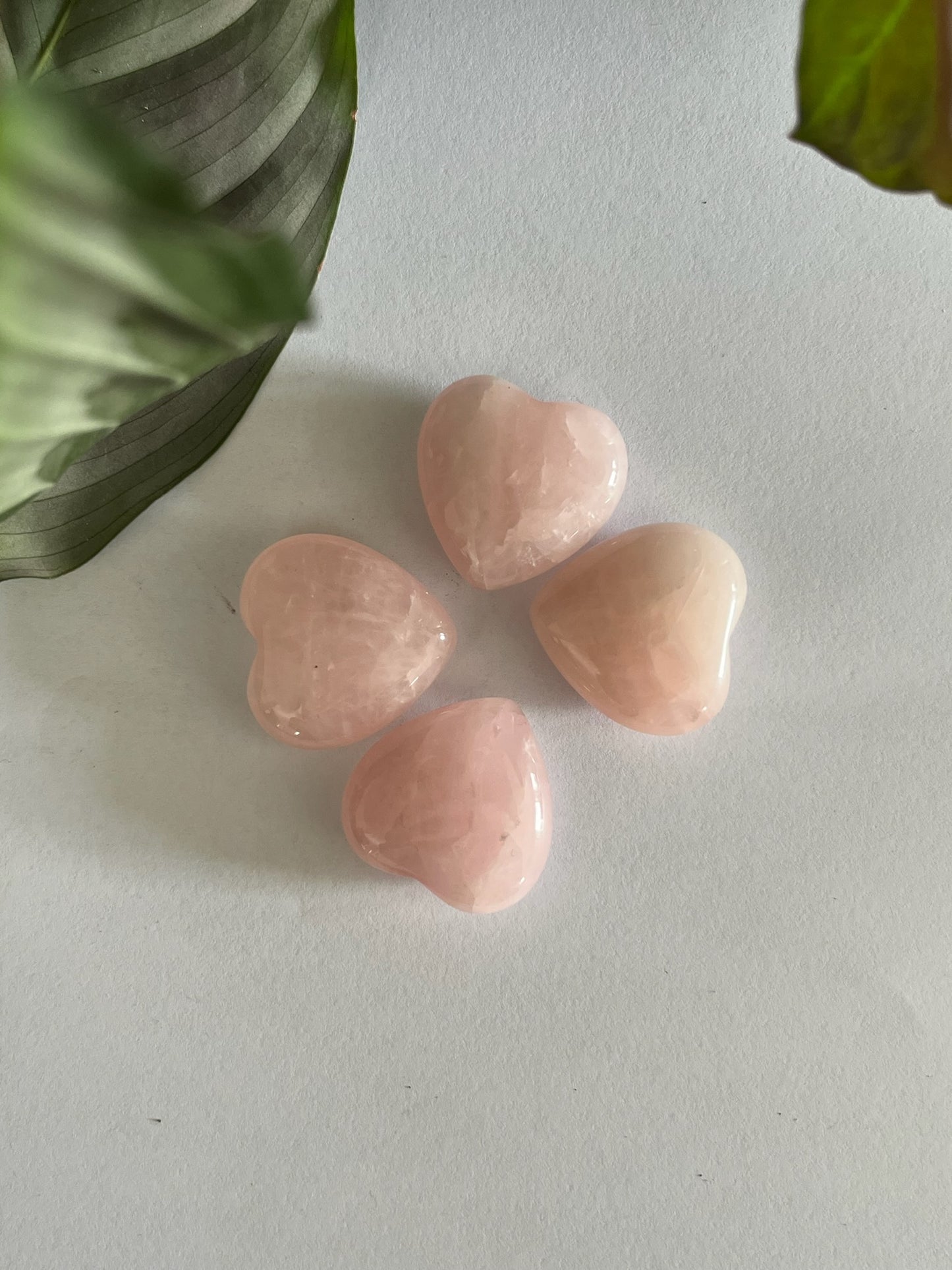 Mini hart rozenkwarts